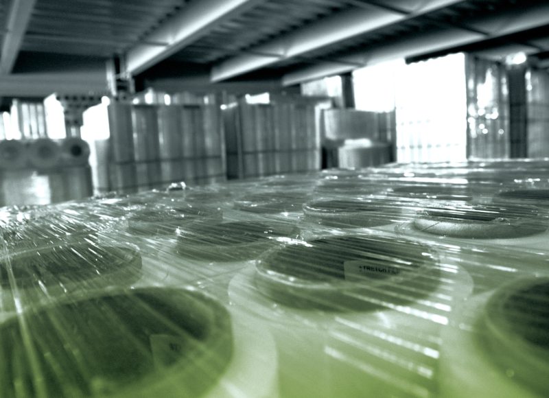 ventajas_Nuestra Capacidad